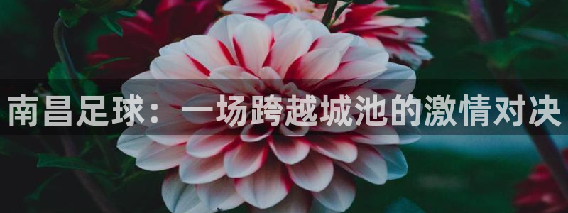 南昌足球：一场跨越城池的激情对决