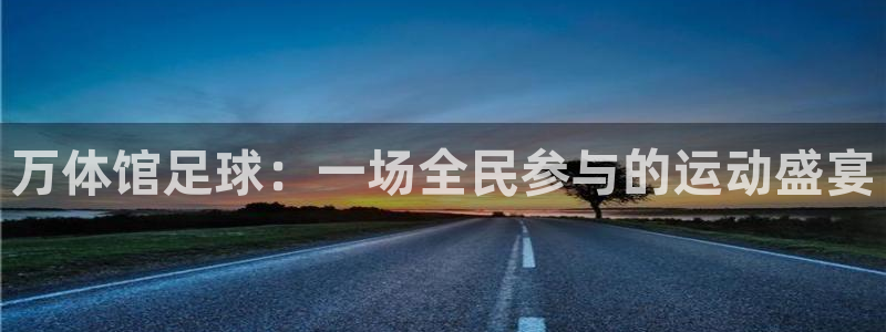  万体馆足球：一场全民参与的运动盛宴