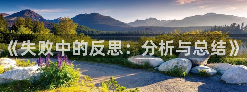  《失败中的反思：分析与总结》