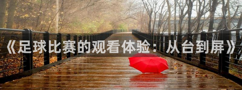  《足球比赛的观看体验：从台到屏》