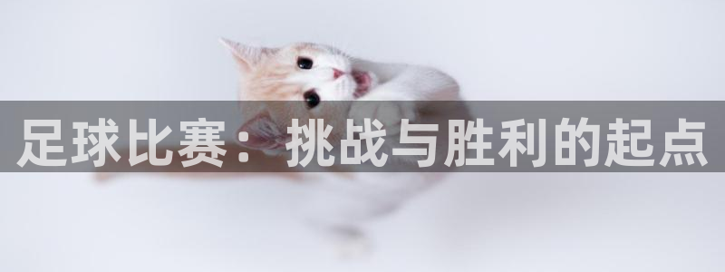 足球比赛：挑战与胜利的起点