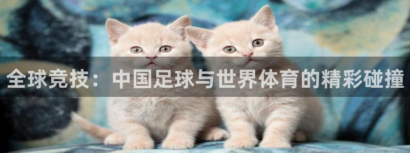  全球竞技：中国足球与世界体育的精彩碰撞