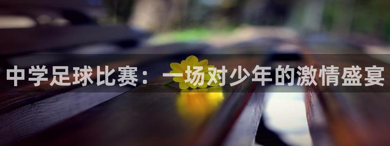  中学足球比赛：一场对少年的激情盛宴