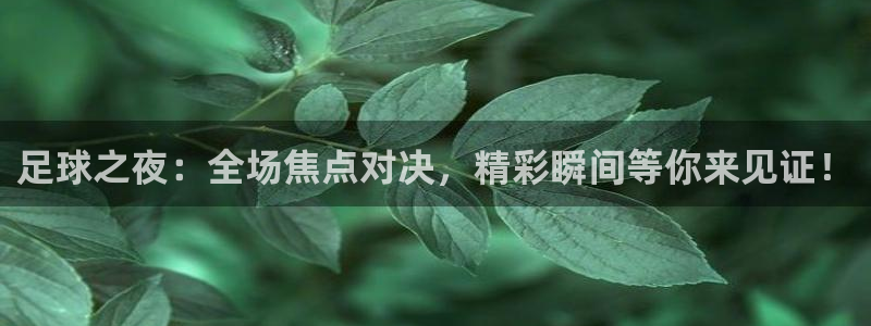 足球之夜：全场焦点对决，精彩瞬间等你来见证！