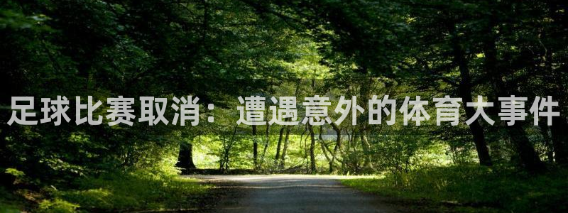  足球比赛取消：遭遇意外的体育大事件