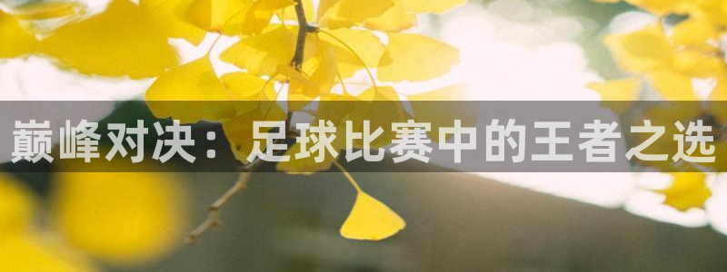 巅峰对决：足球比赛中的王者之选