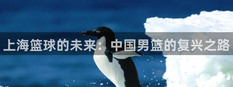 搜球吧 直播：上海篮球的未来：中国男篮的复兴之路