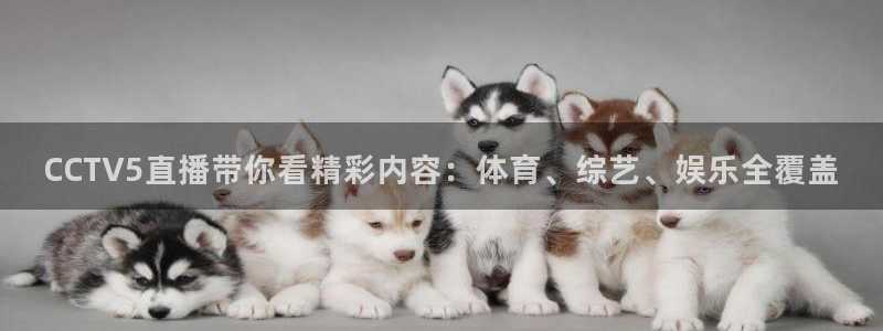 搜球吧在线直播免费观看：CCTV5直播带你看精彩内容：体育、综艺、娱乐全覆盖