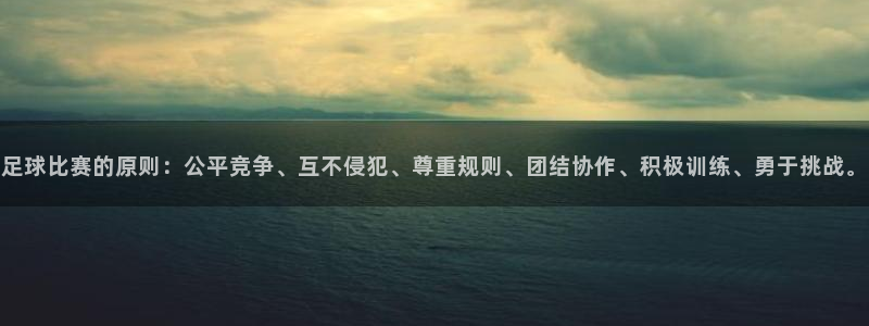 足球比赛的原则：公平竞争、互不侵犯、