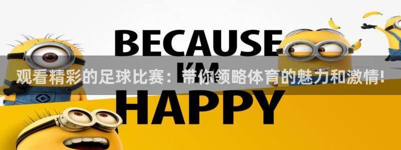 观看精彩的足球比赛：带你领略体育的魅