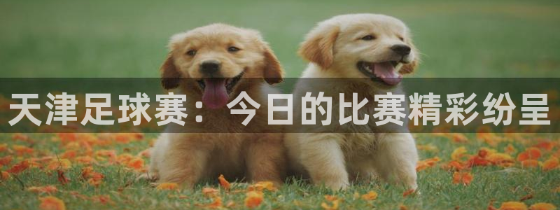 天津足球赛：今日的比赛精彩纷呈