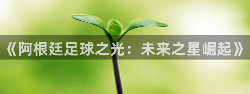 《阿根廷足球之光：未来之星崛起》