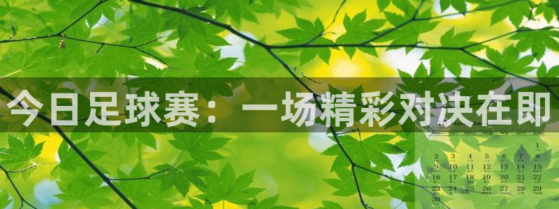 今日足球赛：一场精彩对决在即