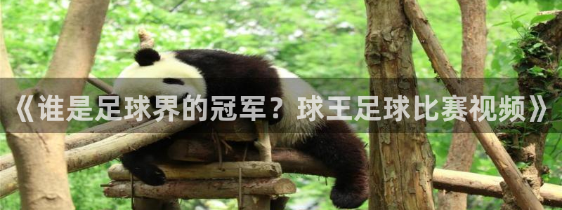 《谁是足球界的冠军？球王足球比赛视频