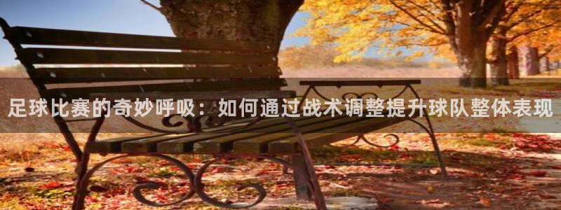 足球比赛的奇妙呼吸：如何通过战术调整