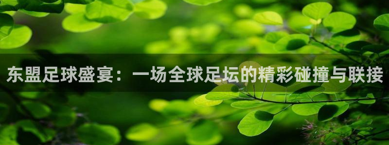 东盟足球盛宴：一场全球足坛的精彩碰撞