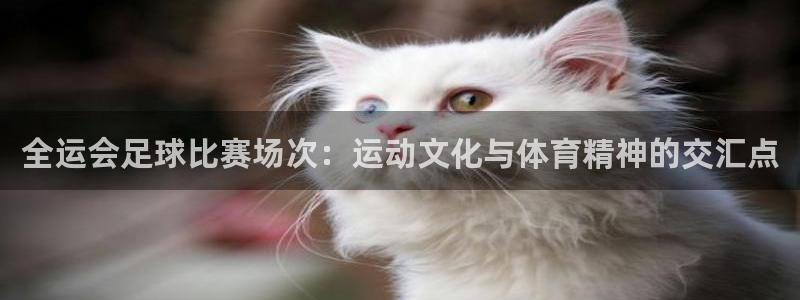 全运会足球比赛场次：运动文化与体育精