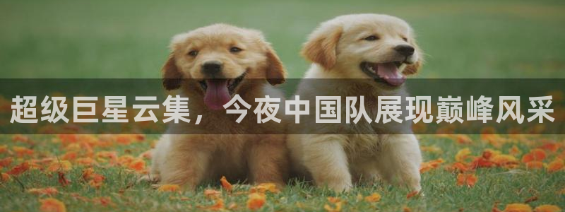 超级巨星云集，今夜中国队展现巅峰风采