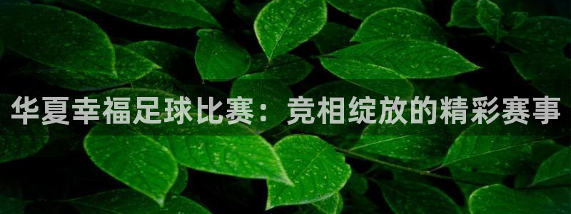 华夏幸福足球比赛：竞相绽放的精彩赛事
