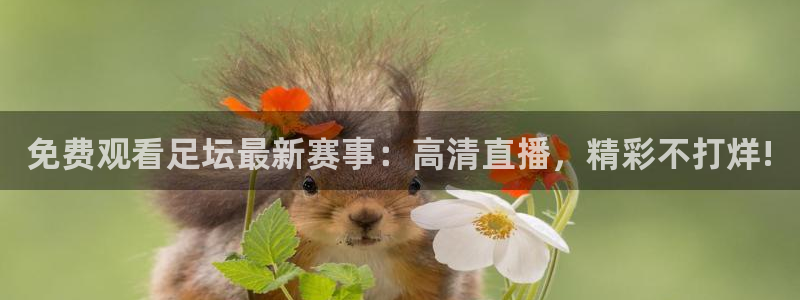 免费观看足坛最新赛事：高清直播，精彩不打烊!