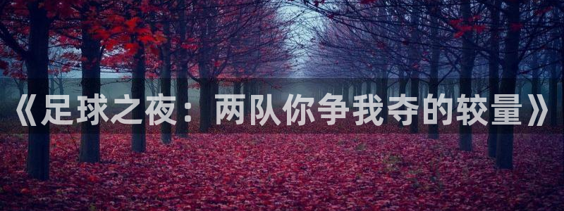  《足球之夜：两队你争我夺的较量》