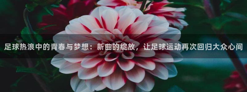 足球热浪中的青春与梦想：新曲的绽放，