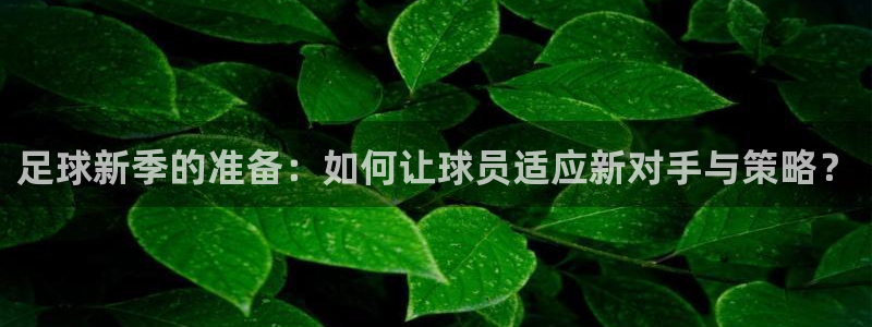 足球新季的准备：如何让球员适应新对手与策略？