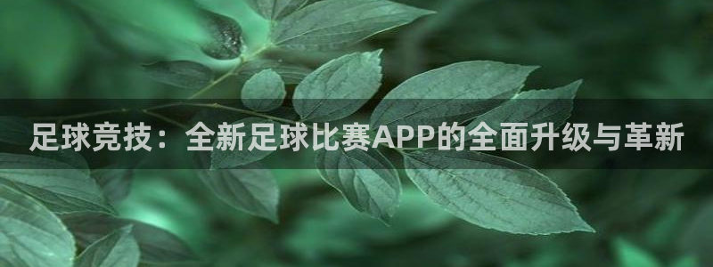 足球竞技：全新足球比赛APP的全面升级与革新
