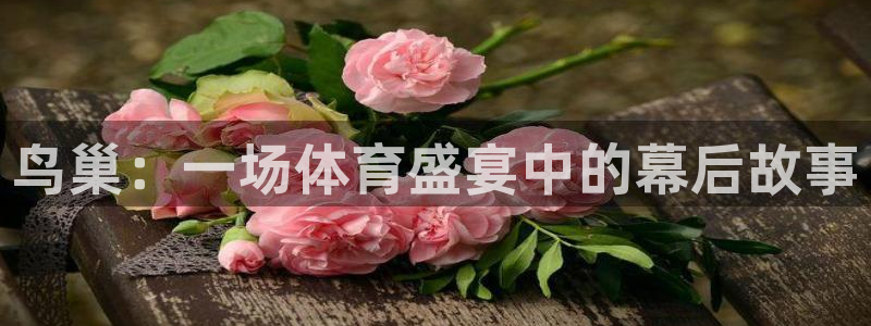  鸟巢：一场体育盛宴中的幕后故事