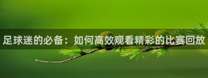 足球迷的必备：如何高效观看精彩的比赛回放