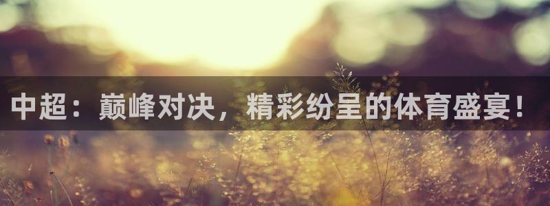 中超：巅峰对决，精彩纷呈的体育盛宴！
