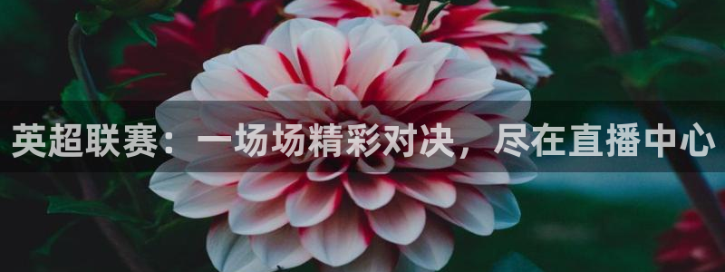 搜球体育：英超联赛：一场场精彩对决，尽在直播中心