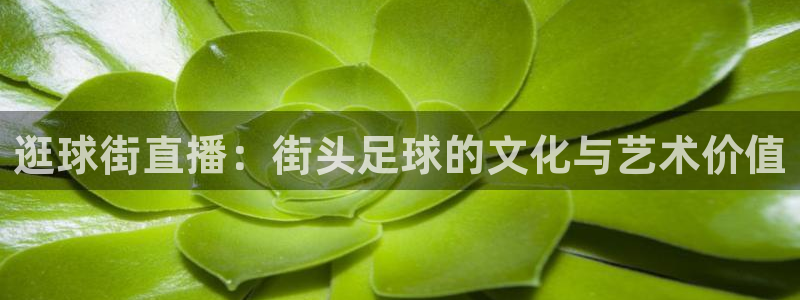 搜球8直播：逛球街直播：街头足球的文化与艺术价值