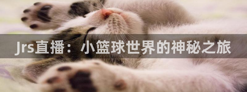 搜球吧8直播：Jrs直播：小篮球世界的神秘之旅