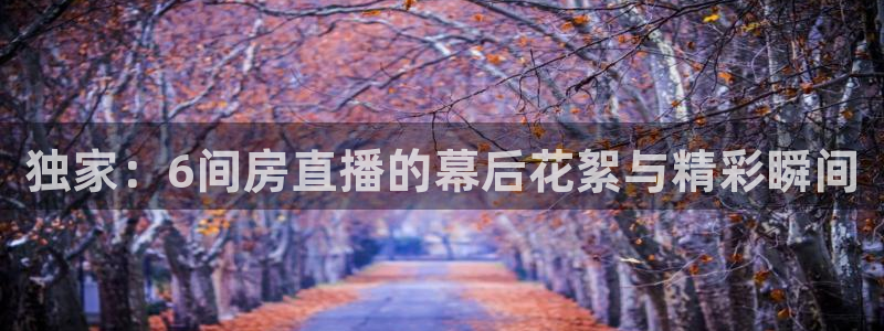 搜球吧在线直播免费观看：独家：6间房直播的幕后花絮与精彩瞬间